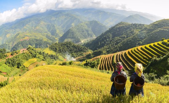 Circuit du Nord au Sud Vietnam avec Agenda Tour Vietnam