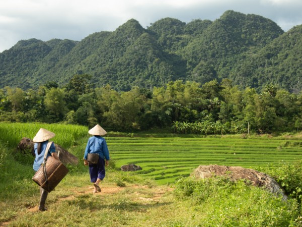 Agenda Tour Vietnam - Viaggi Autentici in Vietnam per Scoprire la Magia del Paese