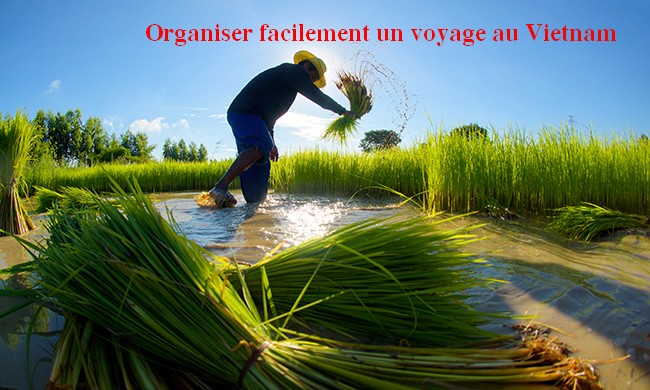 Idee di viaggio in Vietnam - Scopri il paese d'incanto tra tradizioni, natura e avventure