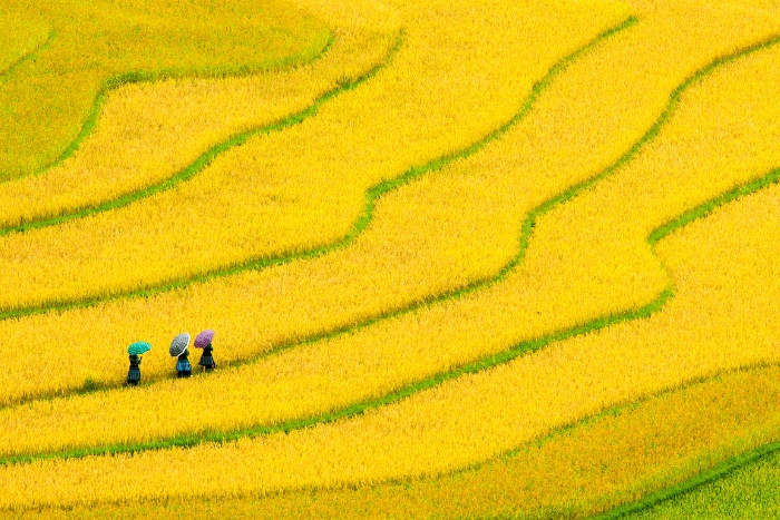 Quando andare a Hanoi - Guida Completa delle Stagioni per un'Avventura Indimenticabile