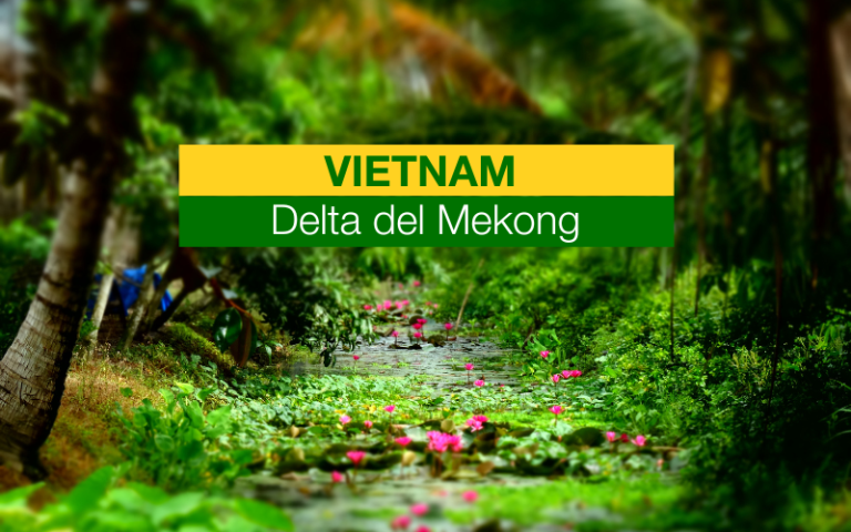 Quando andare a Hanoi - Guida Completa delle Stagioni per un'Avventura Indimenticabile
