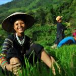 Viaggi Vietnam 2027 - Scopri il Fascino Infinito di una Terra Esotica e Affascinante