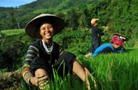 Viaggi Vietnam 2027 - Scopri il Fascino Infinito di una Terra Esotica e Affascinante