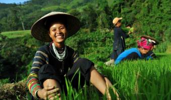 Viaggi Vietnam 2027 - Scopri il Fascino Infinito di una Terra Esotica e Affascinante