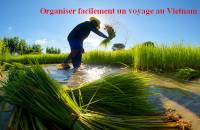 Idee di viaggio in Vietnam - Scopri il paese d'incanto tra tradizioni, natura e avventure