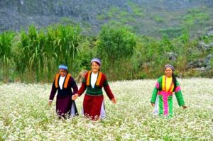 Scopri la bellezza della Presentazione di Ha Giang