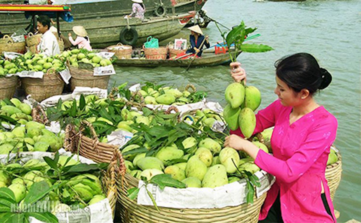VIAGGIO VIETNAM DEL SUD