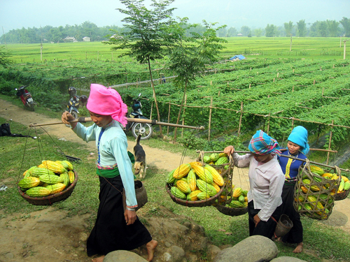 Viaggio completo Vietnam Cambogia 18 giorni