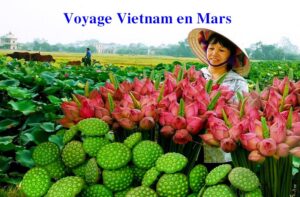 Voyages au vietnam en Mars