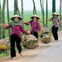 voyage vietnam1 4 | agence voyage Vietnam voyage vietnam1 4 - agence de voyage Vietnam Laos Cambodge
