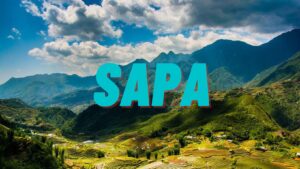 Sapa Un Approfondimento Completo