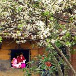 Viaggio Vietnam a febbraio