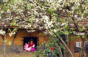 Viaggio Vietnam a febbraio