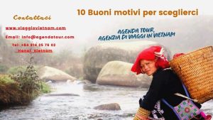 10 Buoni motivi per sceglierci