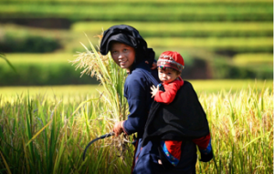 Come andare dall’Italia al Vietnam?