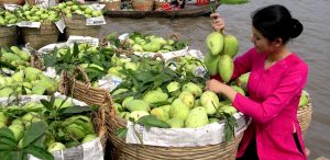 Tip di viaggio – Top 10+ Le cose strane e le esperienze uniche solo in Vietnam