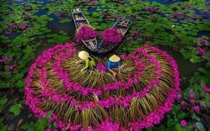 Quanti giorni servono per visitare il Vietnam? – Scopri il tuo viaggio ideale!