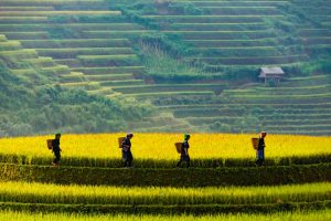 Viaggio Vietnam a settembre