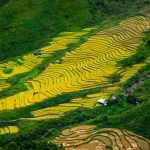Viaggio Vietnam ad aprile