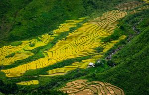 Viaggio Vietnam ad aprile